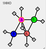 Interactions schematic for human oxyhemoglobin (1HHO)