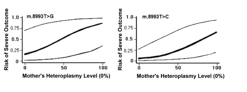 Figure 3. . Predicted risk to offspring (95% CI) to develop clinical manifestations of Leigh syndrome spectrum due to MT-ATP6 pathogenic variants m.