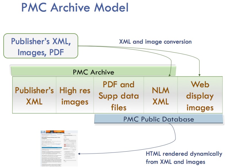 Figure 1. . PMC Processing Model.