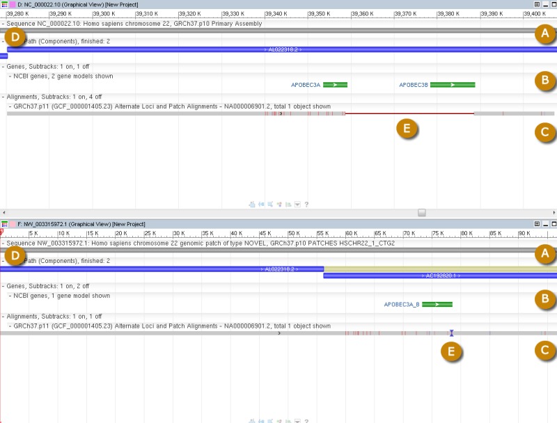 Figure 5. . Top panel: RefSeq copy of GRCh37 chromosome 22 (NC_000022.