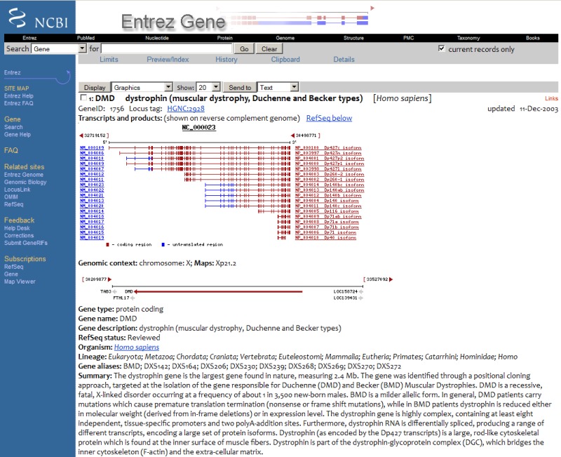 Figure 2. . Gene in 2003.