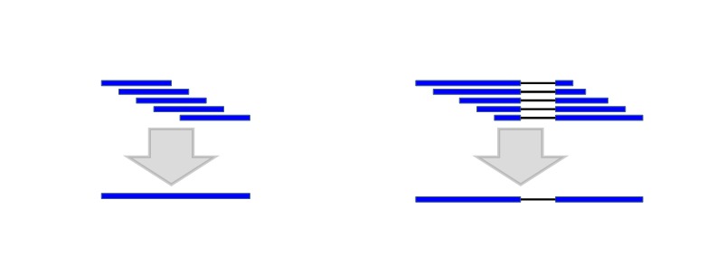 Figure 2. . Combining the alignments with the same introns into one alignment (micro chaining) reduces the computational complexity.