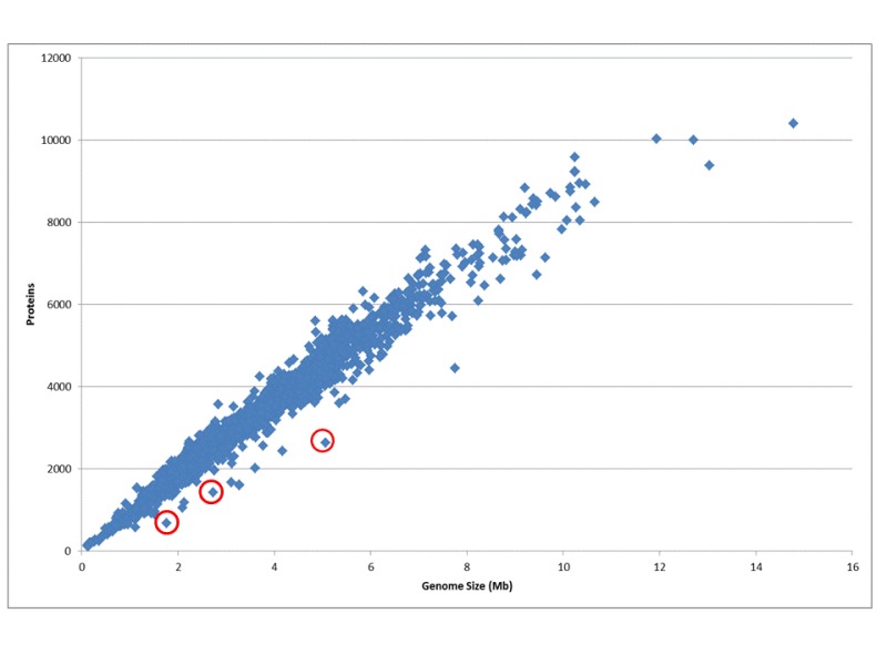 Figure 1. . The ratio of genome size to the number of protein coding genes for all genomes.