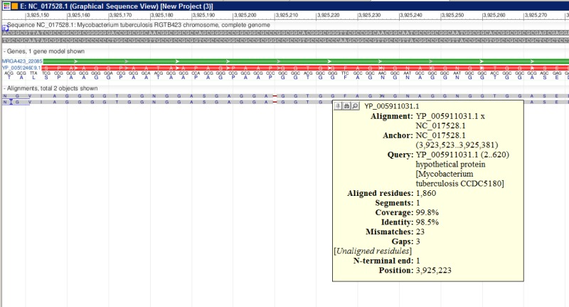 Figure 2. . A fragment of ProSplign alignment against an annotated peptide.