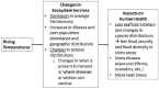 FIGURE 3-1. Anticipated impacts of rising temperatures on ecosystem services and human health.