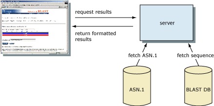 Figure 1. How the BLAST results Web pages are assembled.