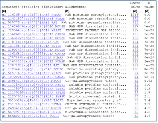 Figure 4. One-line descriptions in the BLAST report.