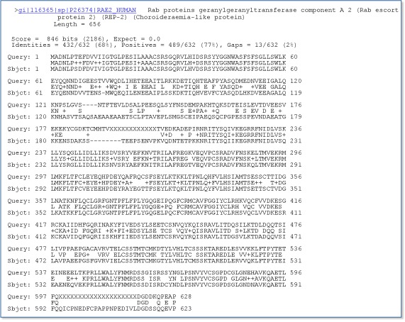 Figure 5. A pairwise sequence alignment from a BLAST report.