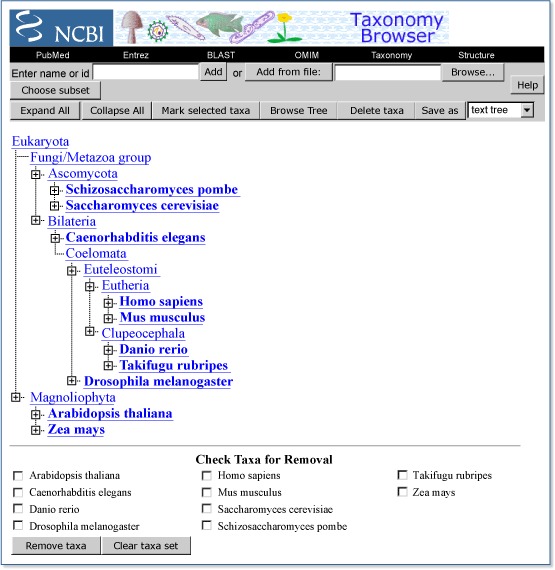 Figure 5. The Common Tree view for some model organisms.