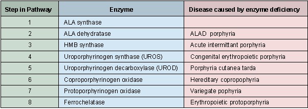 Image popupporphyria.jpg