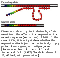 Image Myotonic.jpg