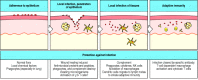 Figure 2.3. An infection and the response to it can be divided into a series of stages.