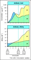 Figure 10.25. The affinity as well as the amount of antibody increases with repeated immunization.