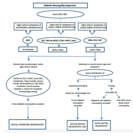 Figure 11. . A diagnostic algorithm for assessment of neurologic deficit and classification of neuropathic syndromes: B12, vitamin B12; BUN, blood urea nitrogen; CHEPS, Contact Heat Evoked Potentials CIDP, chronic inflammatory demyelinating polyneuropathy; EMG, electromyogram; Hx, history; MGUS, monoclonal gammopathy of unknown significance; NCV, nerve conduction studies; NIS, neurologic impairment score (sensory and motor evaluation); NSS, neurologic symptom score; QAFT, quantitative autonomic function tests; QST, quantitative sensory tests; Sudo, sudomotor function testing.