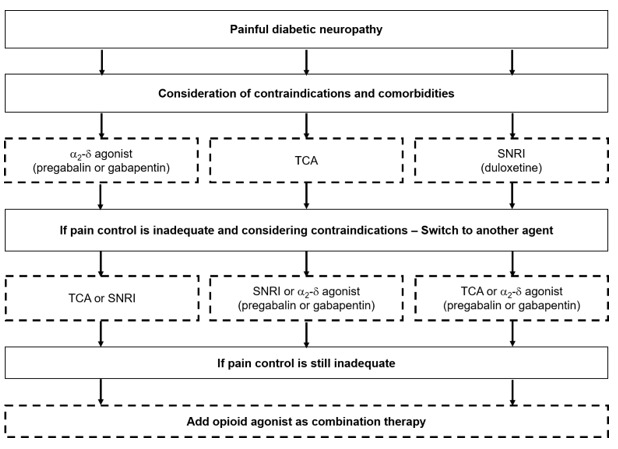 Figure 16. . Algorithm for the Management of Symptomatic Diabetic Neuropathy.