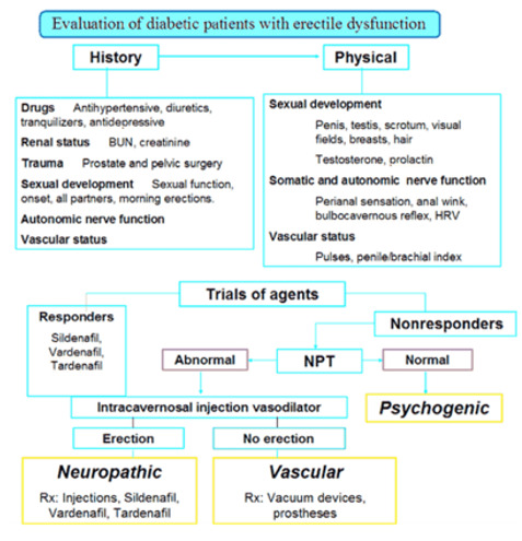 Figure 22. 