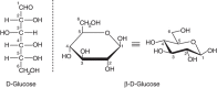 FIGURE 1.2.. Open-chain and ring forms of glucose.