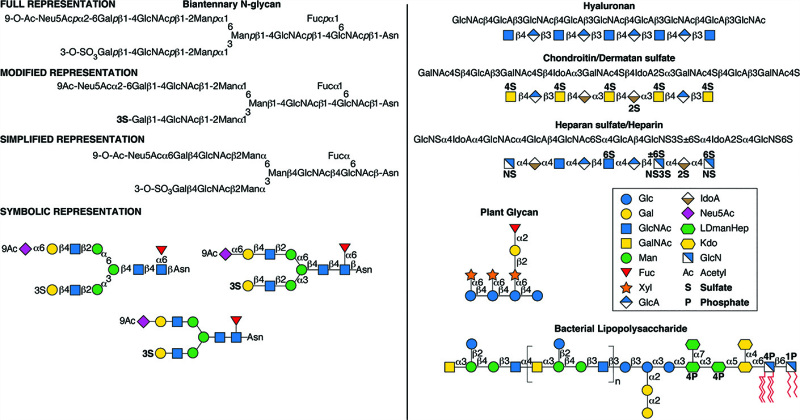 FIGURE 1.5.. Examples of symbols and conventions for drawing glycan structures.