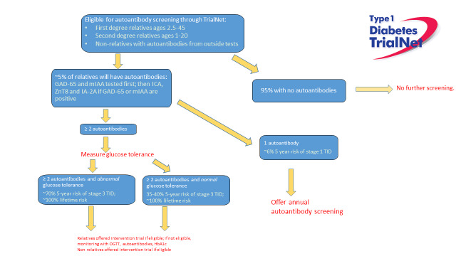 Figure 5. . Diabetes TrialNet process for identifying relatives with islet autoimmunity.