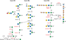 FIGURE 45.4.. O-Man glycan biosynthetic pathway.