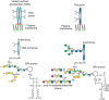 FIGURE 43.2.. Schematic representation of the major surface glycoconjugates of procyclic and metacyclic Trypanosoma.