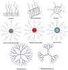 FIGURE 58.1.. Overview of different types of glyconanomaterials created by coupling glycans to the surface of diverse nanomaterials.