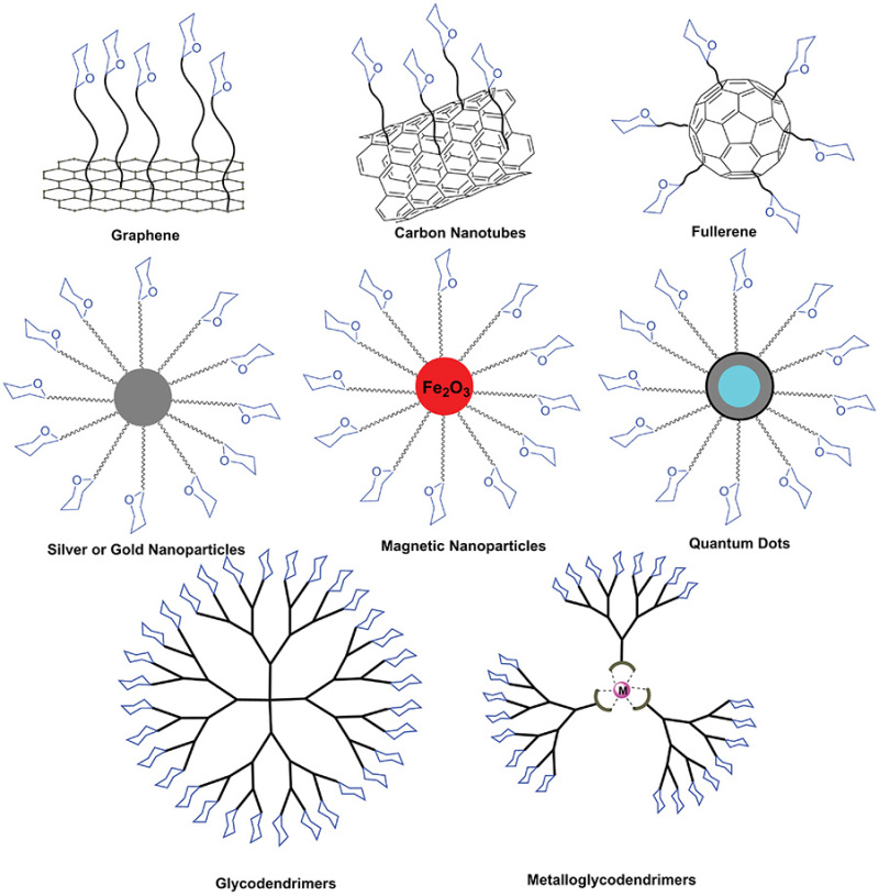 FIGURE 58.1.. Overview of different types of glyconanomaterials created by coupling glycans to the surface of diverse nanomaterials.