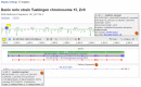 Figure 1. . Compared to the genomic sequence of zebrafish chromosome 15 (NC_007126.