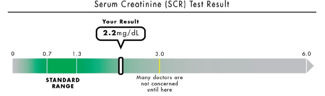 SOURCE: Zikmund-Fisher et al