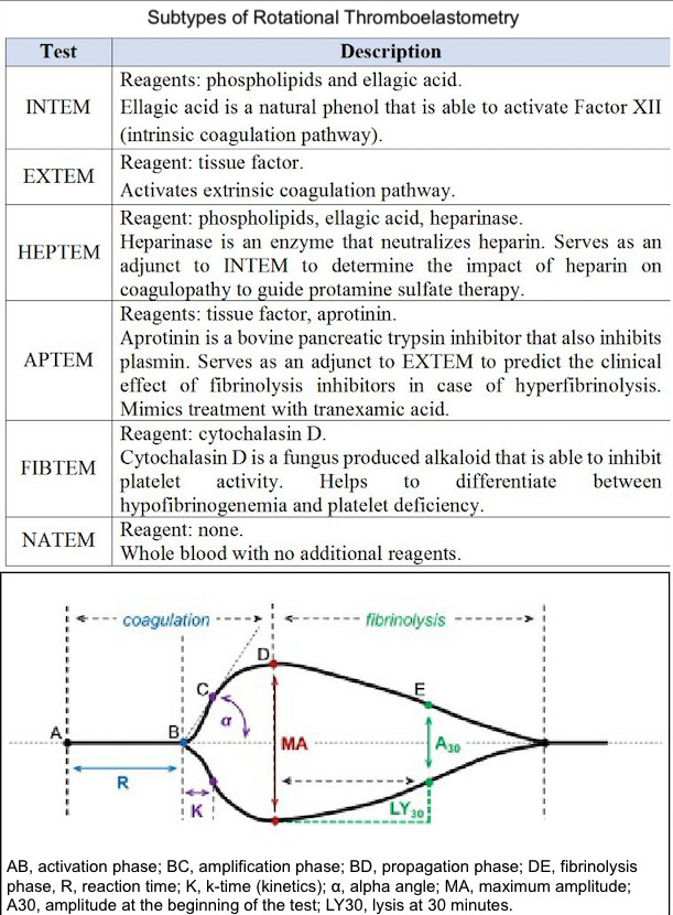 Subtypes of Rotational Thromboelastometry