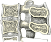 Lumbar Vertebral Anatomy