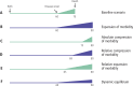 Figure 1. Scenarios of ageing.