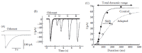 FIGURE 8.5. Adaptation in olfactory receptor cells.