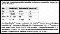 TABLE 8.1. Intracellular and Extracellular Ion Concentrations at the Apical Part of ORCs and Calculated Nernst Potentials.