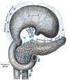 Lymphatics and Drainage of the Pancreas