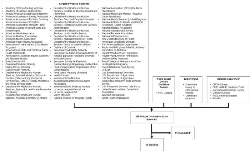 Flow diagram showing how targeted website searches, a food-based dietary guideline search, expert input, and database searches led to the identification of 156 unique documents, 43 of which met the committee's eligibility criteria.