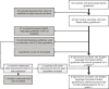 Flow diagram showing that, of the 92 countries with food-based dietary guidelines in the Food and Agriculture Organization of the United Nations catalog, 8 high-income countries had English guidelines or related resources with feeding guidance for infants and children 0-2 years of age.