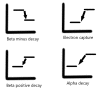 Types of Decay When Plotted on a Graph