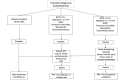 Flowchart depicting management of endogenous endophthalmitis Contributed by Dr