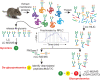 FIGURE 51.2.. Glycomics-assisted glycoproteomics of a complex mixture of glycoproteins.