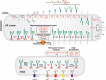 FIGURE 45.2.. Congenital disorders of glycosylation in the N-glycosylation pathway.