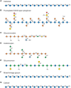 FIGURE 24.1.. Glycosyl sequences of (A) cellulose, (B–E) selected hemicelluloses, (F) mixed-linkage glucan, and (G) callose.