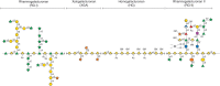 FIGURE 24.2.. Schematic structure of pectin.