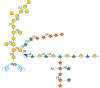 FIGURE 24.3.. Schematic structure of the proteoglycan referred to as arabinoxylan pectin arabinogalactan protein1 (APAP1).