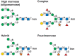 FIGURE 24.4.. Types of N-glycans identified in plants.