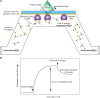 FIGURE 29.5.. Example of surface plasmon resonance (SPR).