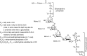 FIGURE 12.1.. General structure of glycosylphosphatidylinositol (GPI) anchors attached to proteins.