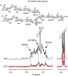 FIGURE 30.4.. Binding epitope identification in a complex-type glycan bound to the HIV-1 neutralizing antibody PG16 using saturation transfer difference (STD) nuclear magnetic resonance (NMR) information.