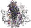 FIGURE 30.5.. Cryo-electron microscopy structure of the native fully glycosylated HIV-1 envelope trimer.