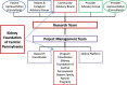 Figure 2. Governance of Research Team.